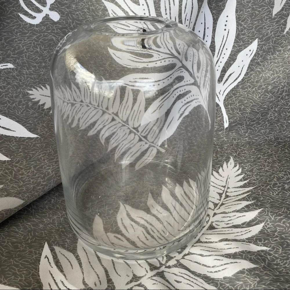 NEW Open Top Dome Glass Terrarium